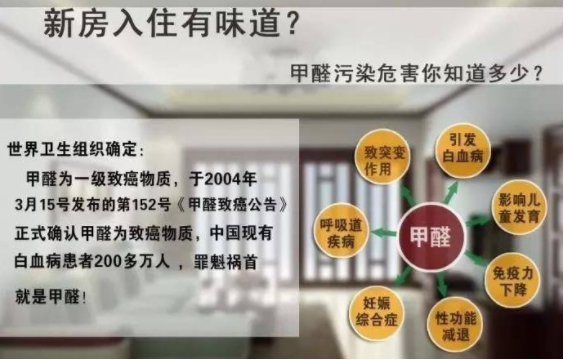 專業除甲醛公司