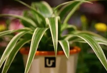 專業除甲醛檢測公司