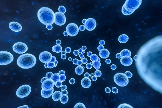 地毯內的甲醛危害