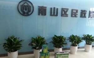 南山區民政府除甲醛案例