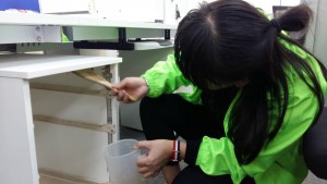 科興科學園辦公室甲醛治理現場